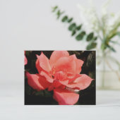 Carte Postale Joli rose rose Peach floral (Debout devant)