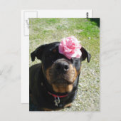 Carte Postale Joli rotonier à fleurs (Devant / Derrière)