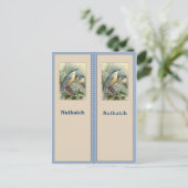Carte Postale Joli Signet d'oiseaux de Nuthatch (Debout devant)