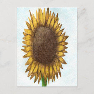 Carte Postale Joli tournesol