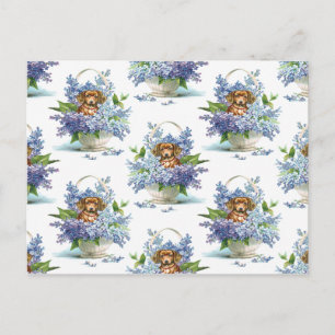 Carte Postale Joli Vintage D'Un Chien Dachshund