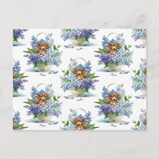 Carte Postale Joli Vintage D'Un Chien Dachshund (Devant)