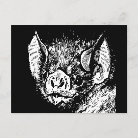 Carte Postale Joli visage de chauve-souris. Graphiques, dessin. (Devant)