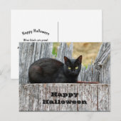 Carte Postale Jolie Black Cat Log Photo Halloween (Devant / Derrière)