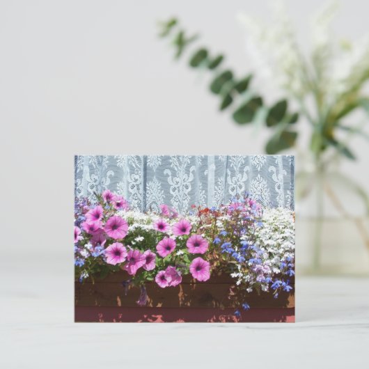 Carte Postale Jolie boîte à fleurs (Debout devant)