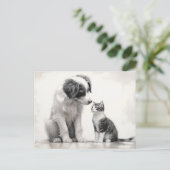 Carte Postale Jolie Bordure Collie & Kitten Amitié (Debout devant)