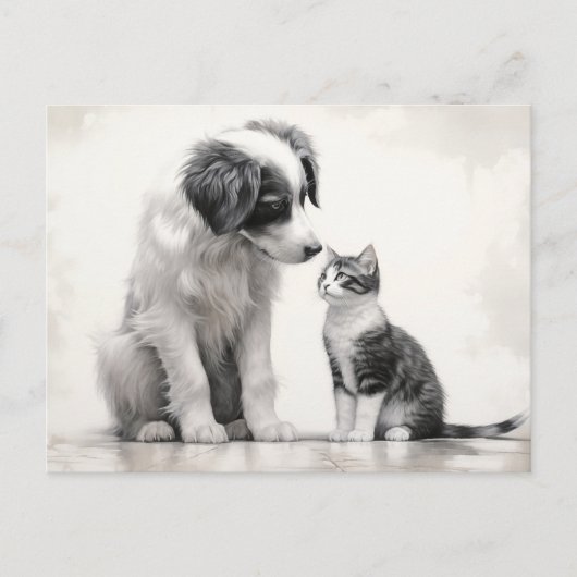 Carte Postale Jolie Bordure Collie & Kitten Amitié (Devant)