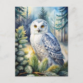 Carte Postale Jolie Chouette Neige (Devant)