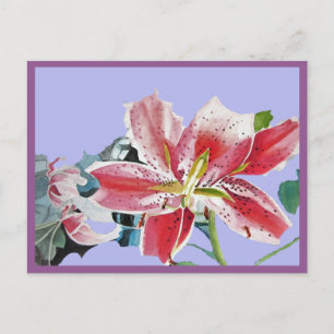 Carte Postale Jolie couleur rouge Lily Aquarelle Lilac Anniversa