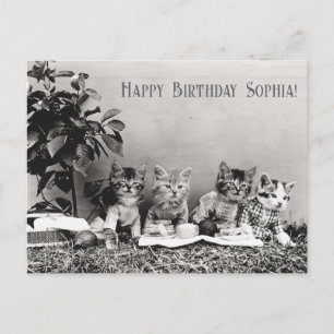 Carte Postale Jolie fête d'anniversaire vintage de chat drôle de
