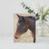 Carte Postale Jolie fille (Debout devant)