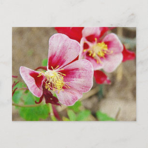 Carte Postale Jolie fleur 2