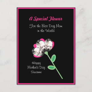 Carte Postale Jolie fleur de chien coquelicot mignon Meilleure m