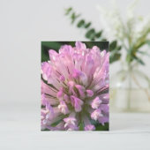 Carte Postale Jolie fleur de trèfle (Debout devant)