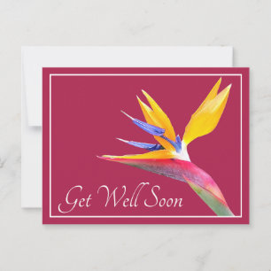 Carte Postale Jolie Fleur d'Oiseau de Paradis Fond Rose Prompt r