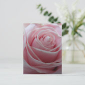 Carte Postale Jolie fleur rose (Debout devant)