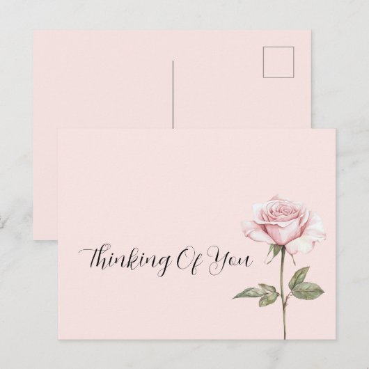 Carte Postale Jolie Fleur Rose Rose (Devant / Derrière)