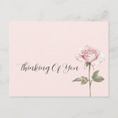Carte Postale Jolie Fleur Rose Rose (Devant)