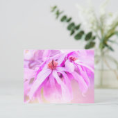 Carte Postale Jolie floraison rose (Debout devant)