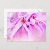 Carte Postale Jolie floraison rose (Devant / Derrière)