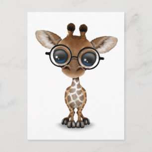 Carte Postale Jolie Giraffe Bébé Curieux Portant des lunettes