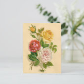 Carte Postale Jolie illustration vintage de rose (Debout devant)