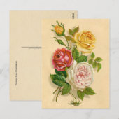 Carte Postale Jolie illustration vintage de rose (Devant / Derrière)