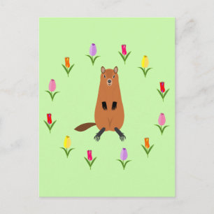 Carte Postale Jolie marmotte et fleurs de tulipes