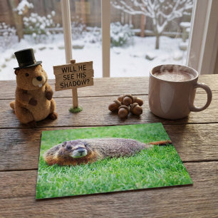 Carte Postale Jolie marmotte réaliste regardant dans l'herbe ver