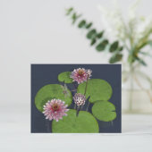 Carte Postale Jolie nénuphar rose et libellule (Debout devant)