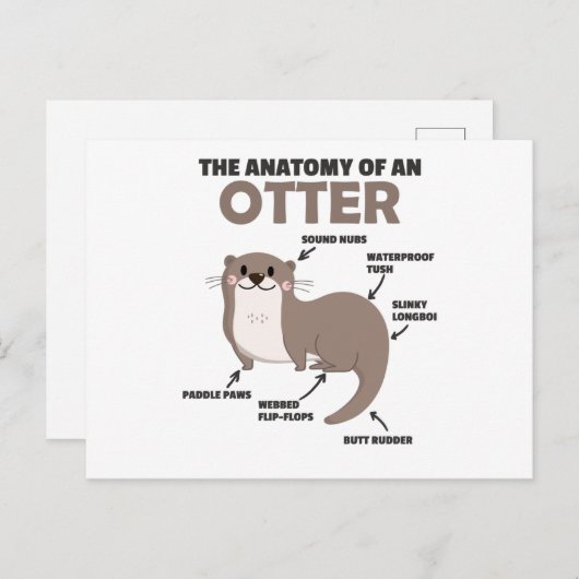 Carte Postale Jolie Otter Explication Anatomie D'Une Otter (Devant / Derrière)