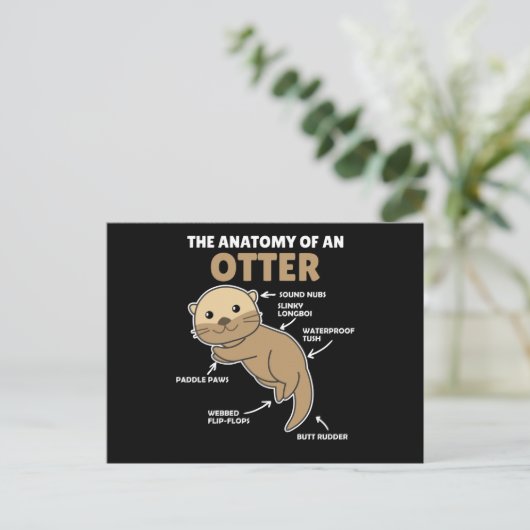 Carte Postale Jolie Otter Explication Anatomie D'Une Otter (Debout devant)