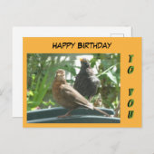 Carte Postale Jolie Paire Noirs Paire Bonne Poussière D'Annivers (Devant / Derrière)