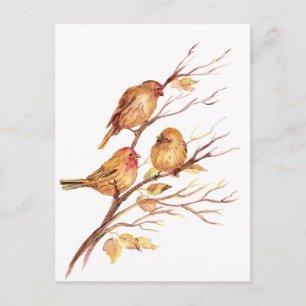 Carte Postale Jolie petite aquarelle Bruant Jardin Oiseaux