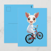 Carte Postale Jolie petite chèvre blanche sur une bicyclette (Devant / Derrière)
