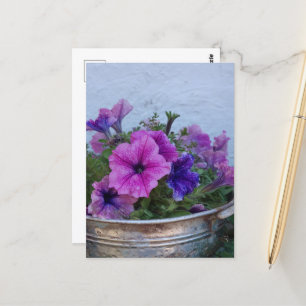 Carte Postale Jolie Petunias