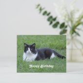 Carte Postale Jolie photo de chat en noir et blanc Tuxedo Annive (Debout devant)