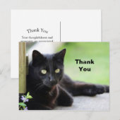 Carte Postale Jolie Photo de Chat Noir Merci (Devant / Derrière)