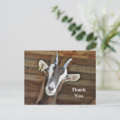 Carte Postale Jolie photo de chèvre marron et blanc Merci (Debout devant)