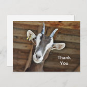 Carte Postale Jolie photo de chèvre marron et blanc Merci (Devant / Derrière)