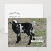 Carte Postale Jolie photo de chevreau noir et blanc pour un anni (Devant / Derrière)