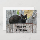 Carte Postale Jolie photo de journal de chat noir pour un annive (Devant / Derrière)