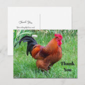 Carte Postale Jolie Photo De Profil De Poulet Rouge Merci (Devant / Derrière)