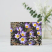 Carte Postale Jolie Photo Fleurie de Crocus Violet pour Annivers (Debout devant)