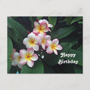 Carte Postale Jolie Plumeria rose et jaune Floral Anniversaire