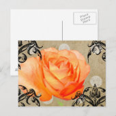 Carte Postale Jolie Rose (Devant / Derrière)