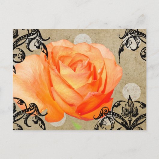 Carte Postale Jolie Rose (Devant)