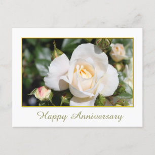 Carte Postale jolie rose blanche fleur joyeuse