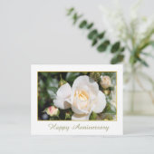 Carte Postale jolie rose blanche fleur joyeuse (Debout devant)
