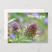 Carte Postale Jolie teinte violette de chardon (Devant / Derrière)